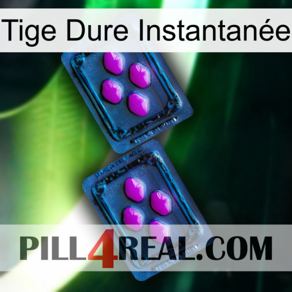 Tige Dure Instantanée 03.jpg